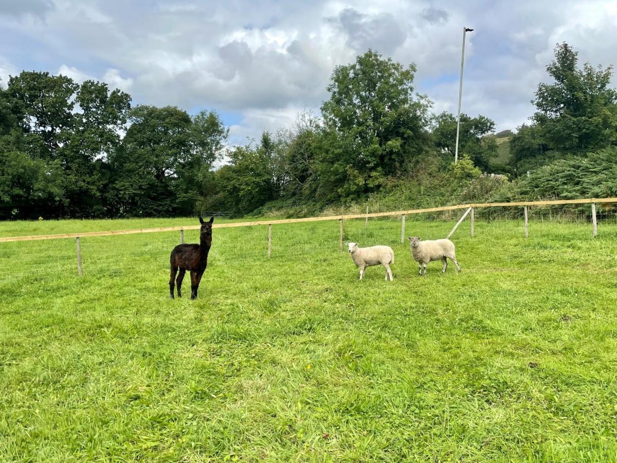 Pontyclun The Annex At Pantglas Farm מראה חיצוני תמונה